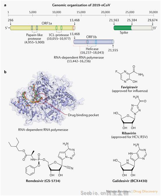 Nature子刊评述文章介绍针对新型<font color='red'>冠状病毒</font>2019-nCoV的药物选择