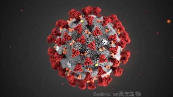 Nature：科学家正在开发<font color='red'>纳米</font>疫苗对抗新冠病毒