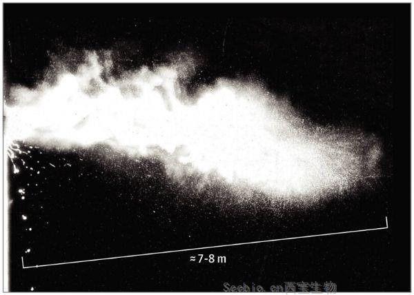 震惊！JAMA研究发现携带冠状病毒的飞沫可以飞行8米远！