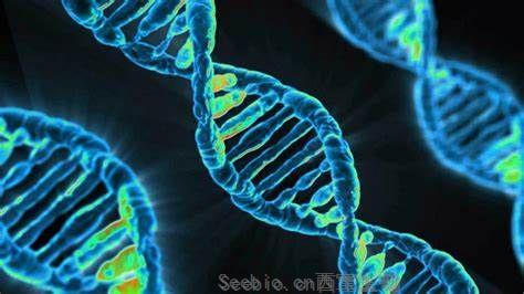 Science：冠状病毒为何让人生病?答案就在基因里！