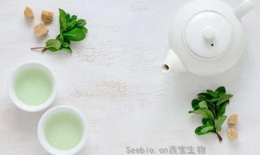 Phytot Res：中国科学家新发现！喝绿茶或有望帮助减肥！