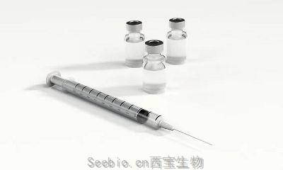 Vaccines：研究揭示SARS-coV2疫苗新靶点