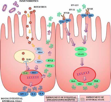 Gut：研究发现对干细胞存活至关重要的酶