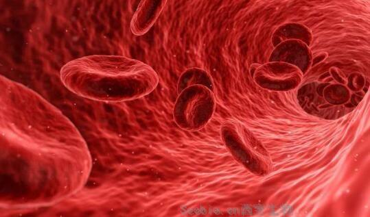 Nat Genet：免疫细胞相关的遗传突变或会影响个体患<font color='red'>自身免疫性疾病</font>的风险