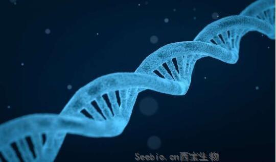 Nature子刊解读！为何机体大脑拥有学习和记忆功能？