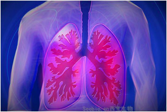 Nature：构建出人类肺部的细胞图谱，为理解和治愈肺部疾病奠定基础
