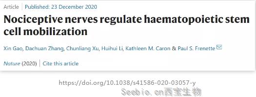 神奇！Nature：吃辣竟可动员你的<font color='red'>造血干细胞</font>，或有助于治疗血液疾病