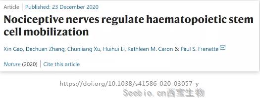 神奇！Nature：吃辣竟可动员你的造血干细胞，或有助于治疗血液疾病