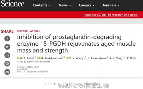 Science重磅揭示：抑制这种分子，或可逆转肌肉衰老