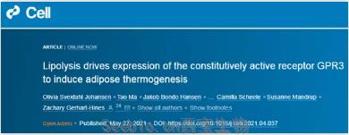 Cell突破：吃货大军感动哭！科学家找到一条新的燃脂通路，具有持久生效潜力
