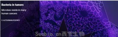 还不好好刷牙？新研究发现：口腔细菌或能激活致癌<font color='red'>基因</font>