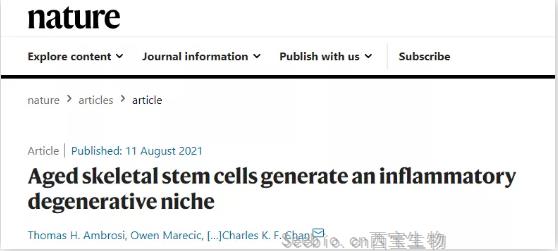 《Nature》重磅！<font color='red'>衰老</font>的骨骼干细胞会延缓骨折愈合,并促进炎症发展加速全身<font color='red'>衰老</font>！