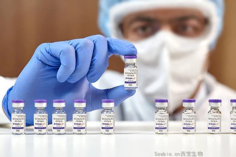 【Nature】无需针头注射！全球首款新冠DNA 疫苗获批上市