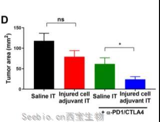 Science子刊：为免疫系统提供“叫醒服务”或可有效清除体内<font color='red'>肿瘤</font>！
