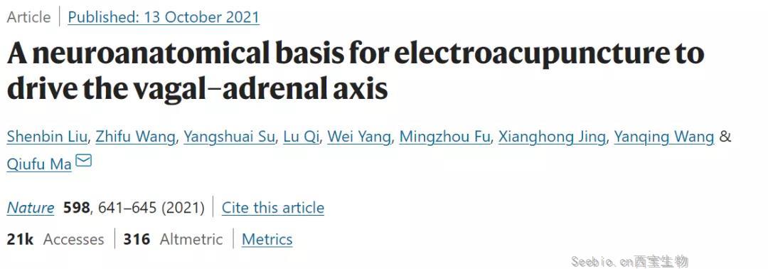 Nature：针灸不再是“玄学”！中美科学家首次证明针灸的神经解剖学原理