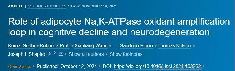 神经退行性疾病<font color='red'>新型</font>疗法出炉！《iScience》提示脂肪细胞或可有效改善认知功能下降