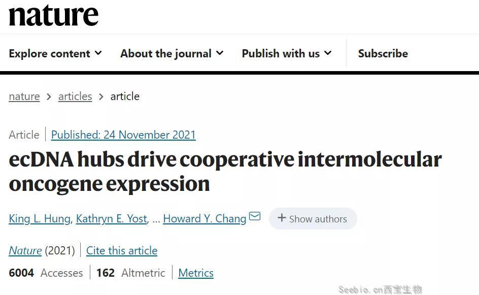 打开抗癌新思路！Nature：ec<font color='red'>DNA</font>“抱团行动”促使癌基因表达扩增