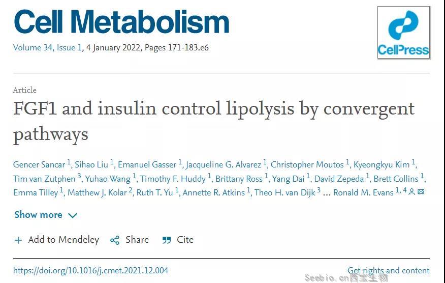 Cell子刊：糖尿病治疗新突破！科学家发现了独立于胰岛素之外的新降糖途径