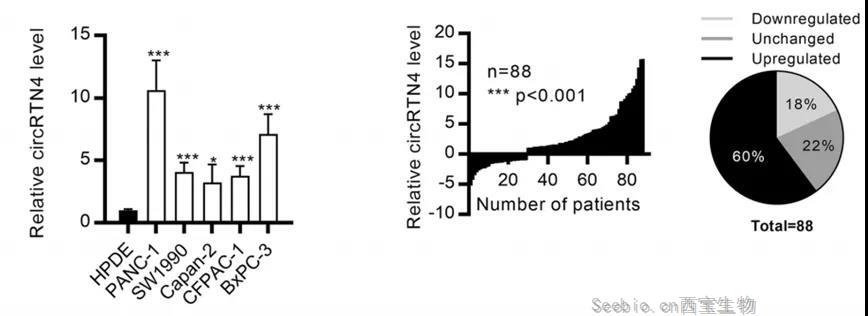 别再被“垃圾DNA”骗了！三大非编码<font color='red'>RNA</font>狼狈为奸，携手促癌！