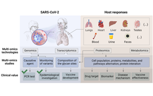 <font color='red'>COVID-19</font>的多组学研究：照亮被忽视的角落