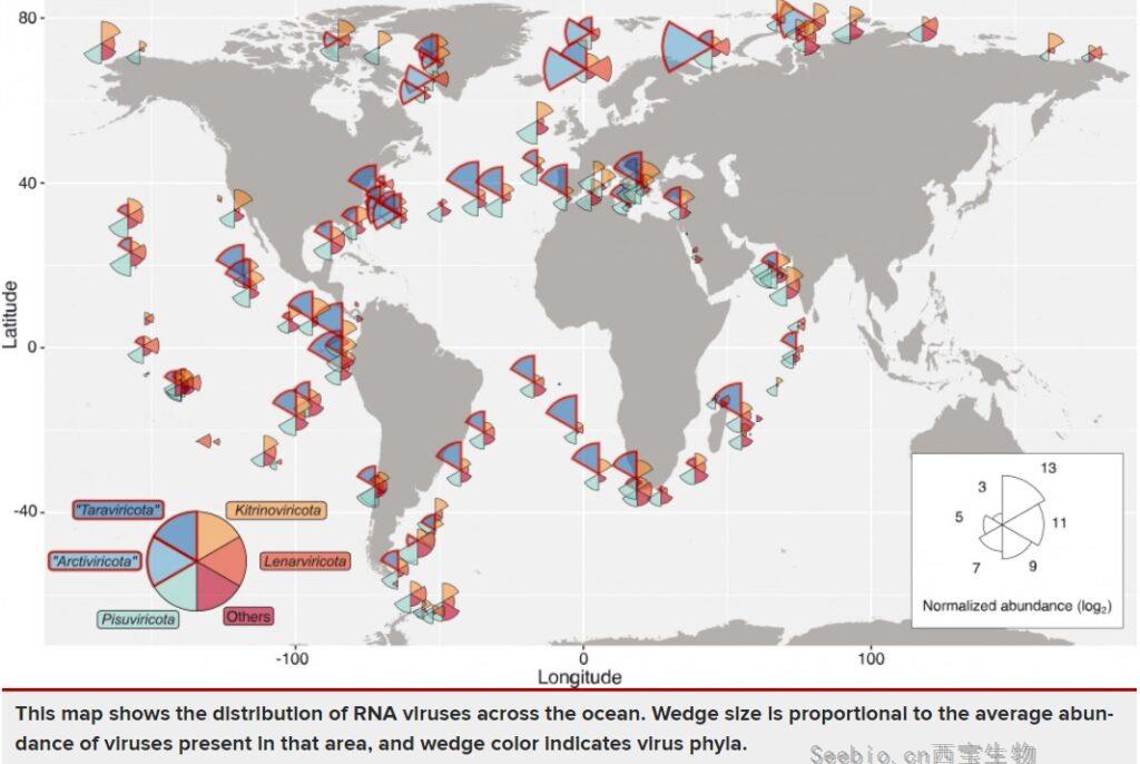 新冠病毒或只是“冰山一角”，科学家新发现5500种<font color='red'>RNA</font>病毒