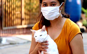 首例！泰国出现疑似「猫传人」新冠病例