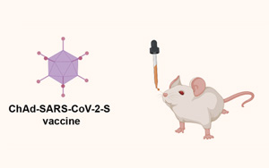 Science Immunology研究证实：鼻腔喷雾剂对阻止<font color='red'>变异</font>至关重要