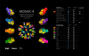 Science重磅！新一代纳米疫苗即将问世，可免疫8种冠状<font color='red'>病毒</font>，预防未来变体