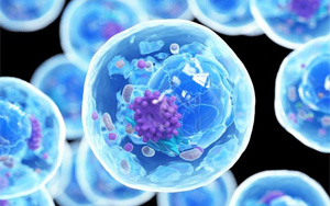 西宝生物CHO细胞、HEK293细胞、 Vero细胞培养基产品