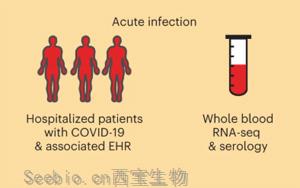 Nature Medicine：COVID-19幸存者一年后血液基因表达变化