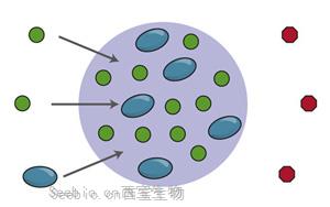 Cell新论文：基因调控关键机制