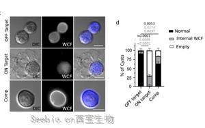 <font color='red'>CRISPR</font>筛选发现巨型病毒竟然来自小病毒！