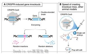 《科学》：诺奖得主解读 CRISPR 的十年