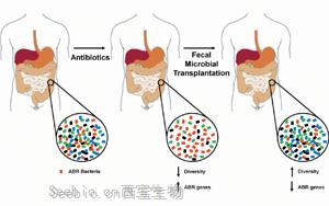 科学家们发现了可以减少抗生素对肠道细菌有害<font color='red'>副作用</font>的化合物