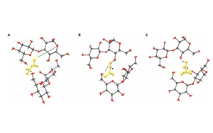 iScience首次揭开了<font color='red'>微生物</font>黏液的秘密