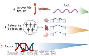 Nature Genetics：人类组织的异常剪接预测