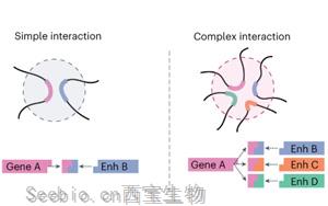 Nature Methods：研究复杂基因组相互作用