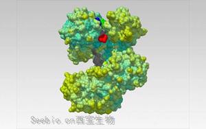 <font color='red'>Na</font>ture解开一种蛋白质，研发一种新的生物技术工具