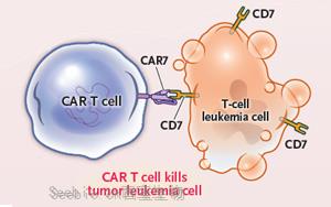 划时代！首个碱基编辑CAR T<font color='red'>疗法</font>挽救两名白血病儿童生命