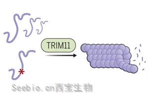 Science：第一次确定了监督tau功能的基因