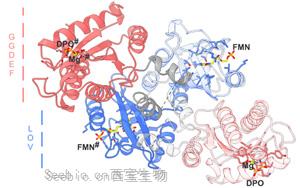 Science子刊：酶的开关