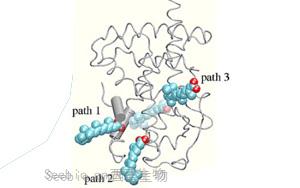 《Immunity》控制T细胞活性