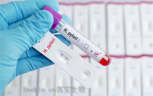幽门螺旋杆菌抗原（HP）-免疫层析（胶体金及彩色乳胶）解决方案