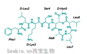 突破！可杀死耐药菌的<font color='red'>新型</font>抗生素