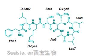 突破！可杀死耐药菌的新型抗生素