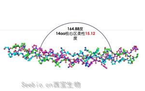 高活性重组Ⅲ型人源化胶原蛋白