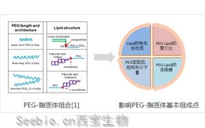 聚乙二醇-脂质（PEG-lipid）结构与性质