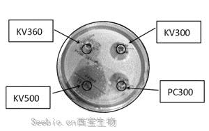 Krovin 500长效广谱防霉抗菌剂
