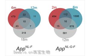 海马体的代谢升高是阿尔茨海默病的早期征兆