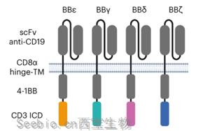 Nature Immunology：利用CD3多样性来解决CAR-T耗竭问题